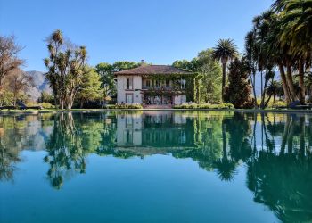 Viñas chilenas entre las Top 100 marcas premium de vinos y licores 2024