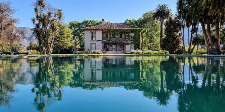 Viñas chilenas entre las Top 100 marcas premium de vinos y licores 2024