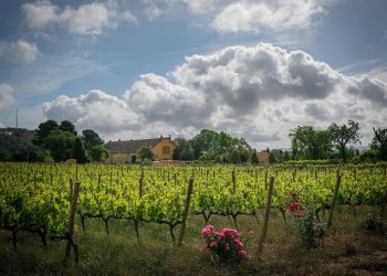 FAMILIA-TORRES-Finca-Mas-La-Plana_TGalitó-low