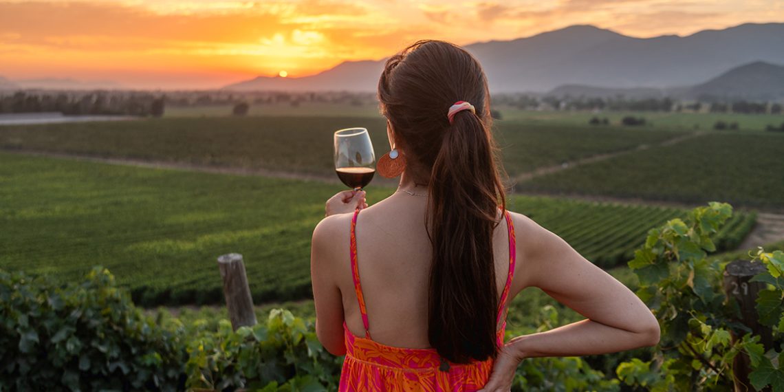 Enoturismo chileno rompe récords durante 2024
