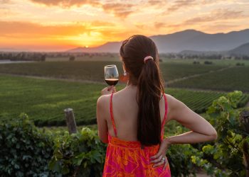 Enoturismo chileno rompe récords durante 2024
