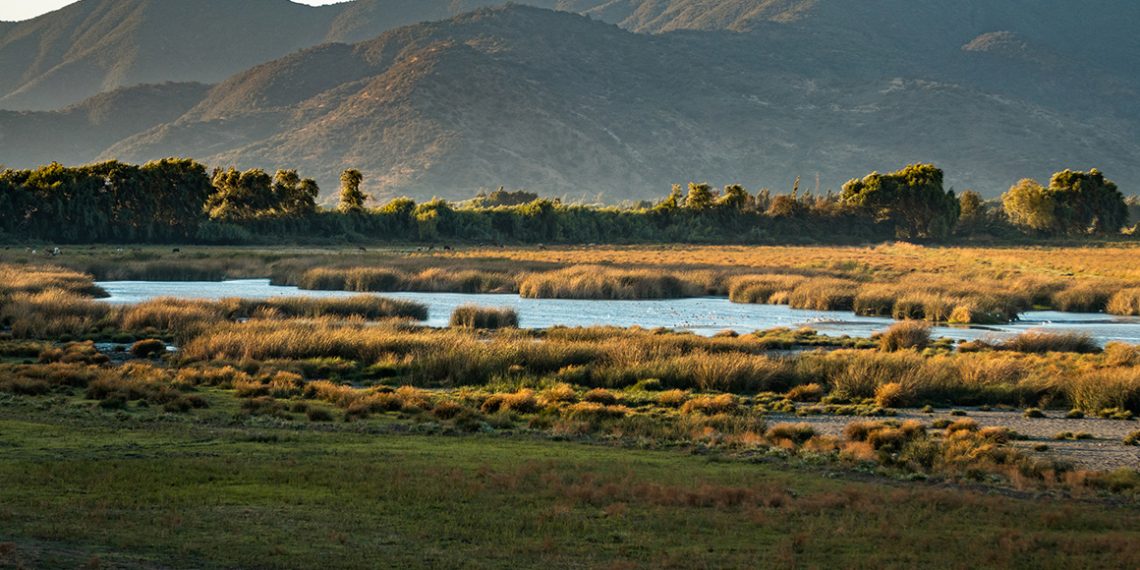 Humedal La Capilla Malloa