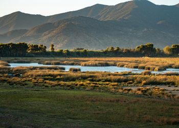 Humedal La Capilla Malloa