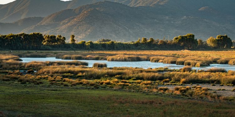 Humedal La Capilla Malloa