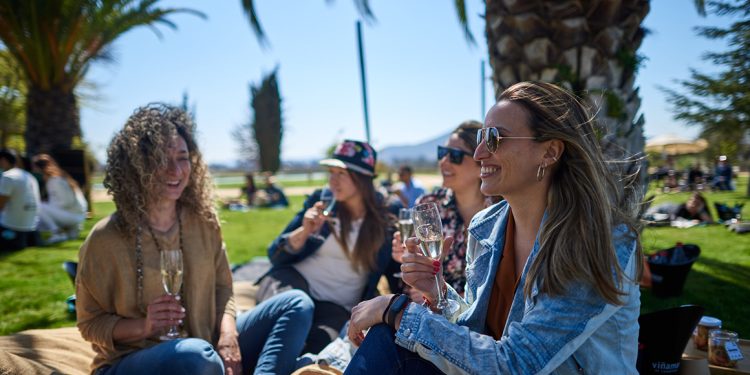 1 de febrero: Picnic Unplugged en Casa Valle Viñamar