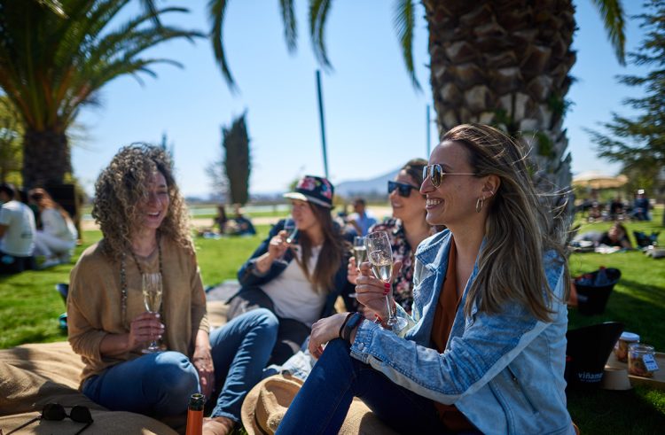 The experience includes a picnic basket with selected products. Photo Casa Valle Viñamar.