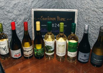 Ruta del Vino Curicó regresó con su icónica selección de Sauvignon Blanc