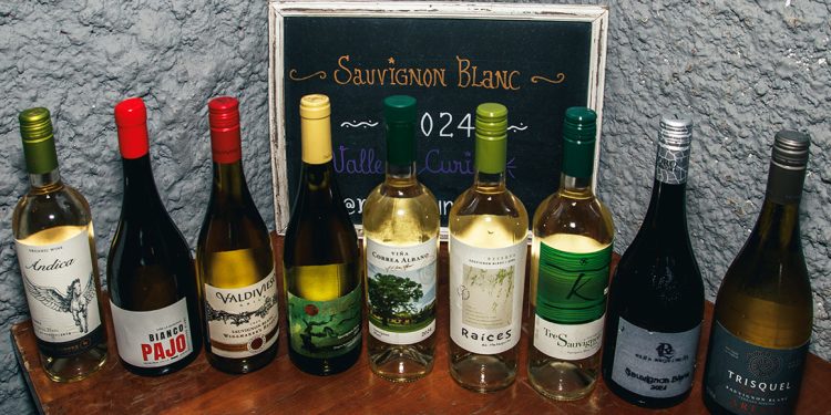 Ruta del Vino Curicó regresó con su icónica selección de Sauvignon Blanc