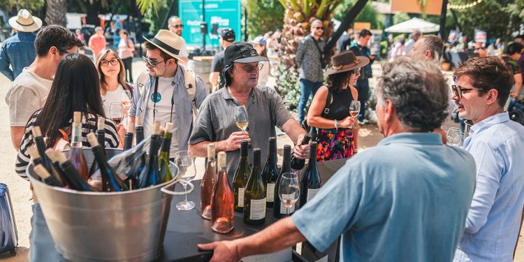 Valle de San Antonio celebrará su 5a Fiesta de la Vendimia