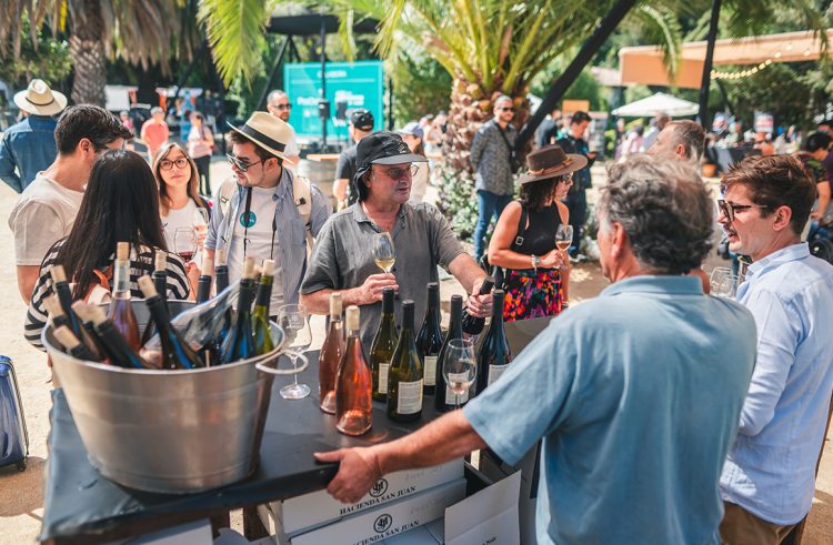 Habrá catas personalizadas durante la jornada donde los asistentes podrán conocer en detalle el proceso de elaboración y producción de los vinos. Foto Vendimia de San Antonio.