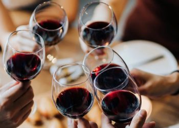 Célébrez la maman avec des vins biologiques qui protègent notre nature sauvage.