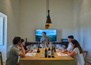 Enoturismo Chile lance un guide pour célébrer la fête des mères