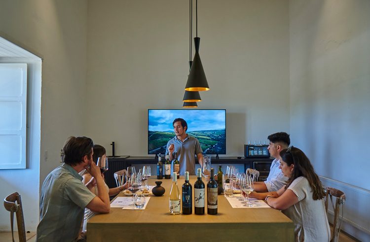 Muchas de las experiencias propuestas están diseñadas para crear conexiones auténticas lejos de lo convencional. Foto Enoturismo Chile