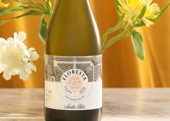 Climat froid et vin de vigne à 12 kilomètres de l'océan Pacifique à San-Antonio-Valle-de-Leyda