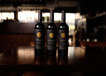 Célébrez la fête des pères avec une collection de rouges de la Cordillère