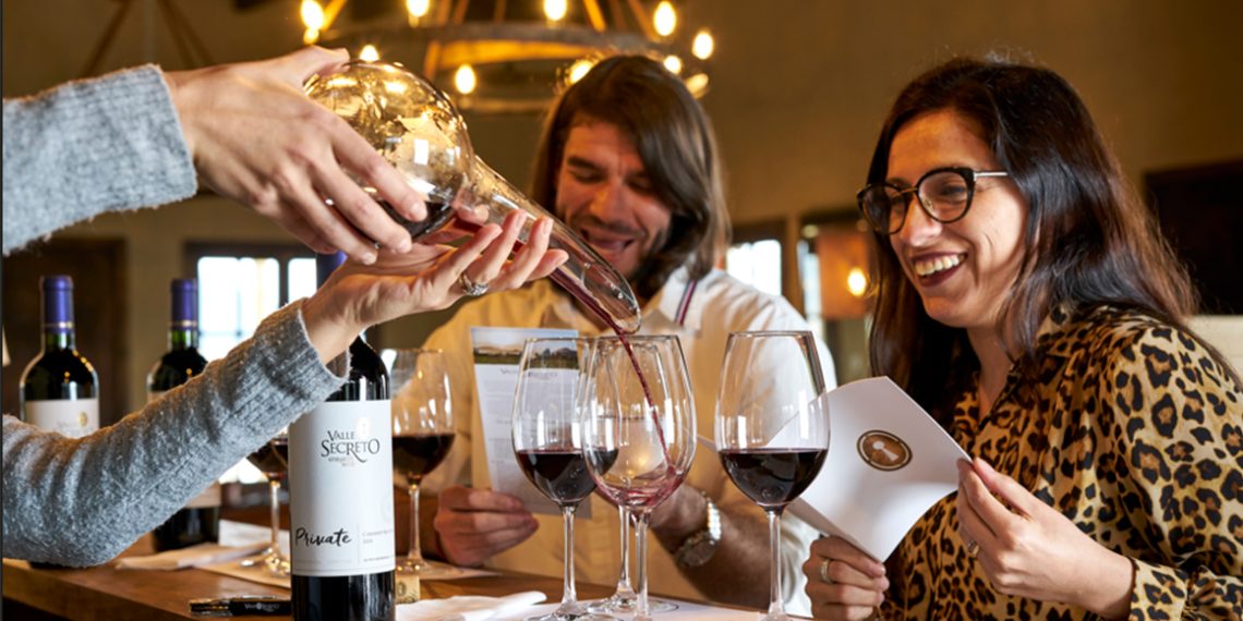 Panoramas únicos de viñas chilenas para disfrutar en familia