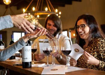 Panoramas únicos de viñas chilenas para disfrutar en familia
