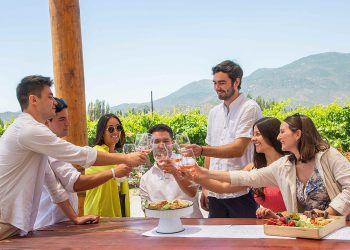 "Faire son propre vin" : un panorama délicieux à Colchagua