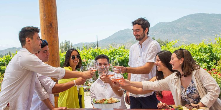 "Make your own wine": a delightful panorama in Colchagua