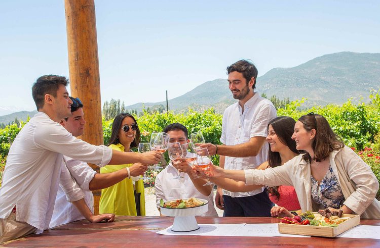 Más visitantes tanto nacionales como internacionales están interesados en conocer el origen de los vinos chilenos y vivir experiencias auténticas. Viñas de Colchagua