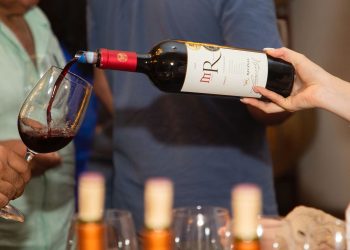 Vino chileno al alza: Brasil es el principal destino