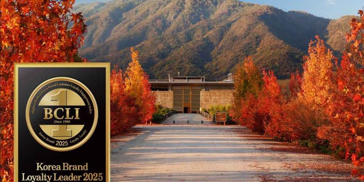 Viña Montes is No. 1 in loyalty in South Korea. Photo: Viña Montes