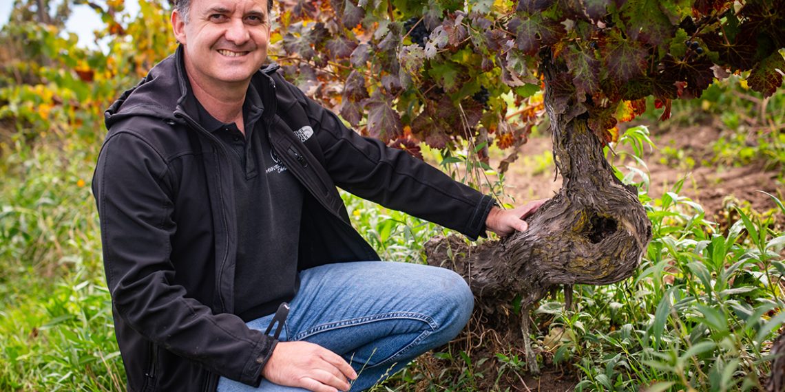 Inquietos Field Blend en los Top 5 mejores vinos de Chile