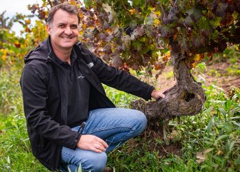 Inquietos Field Blend en los Top 5 mejores vinos de Chile