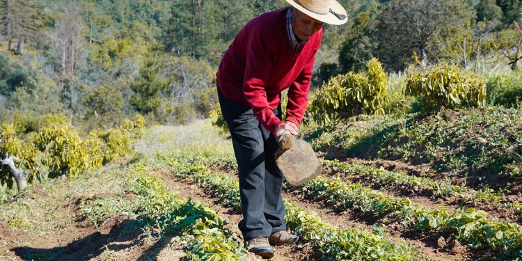 ONU Turismo suma a Lolol en programa Best Tourism Villages