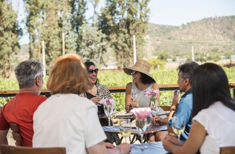 Chile cuenta con más de 219 viñas abiertas oficialmente al enoturismo. Foto: Enoturismo Chile.