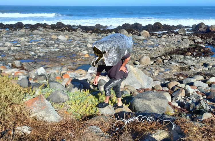 El trabajo de Algueros de Navidad con Hierbas de Mar ha permitido conocer mejor el valor y los procesos de las algas para obtener un producto de mejor calidad. Foto Algueros de Navidad.