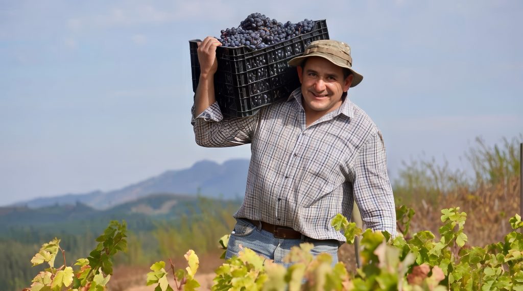 Víctor Castellón propietario y fundador de Viña Castellón