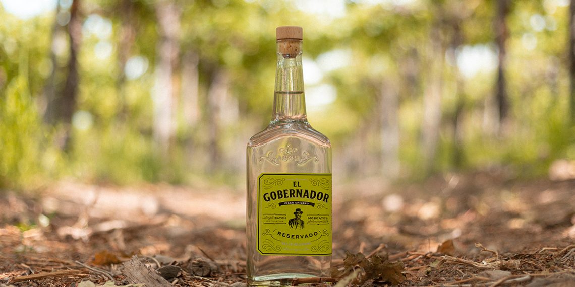 El Gobernador, le meilleur pisco chilien en 2025 selon l'IWSC