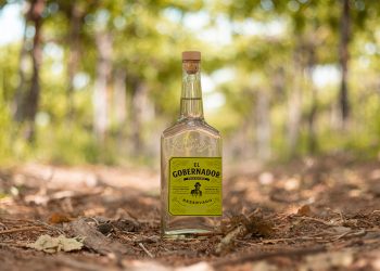 El Gobernador, mejor pisco chileno del 2025 según IWSC