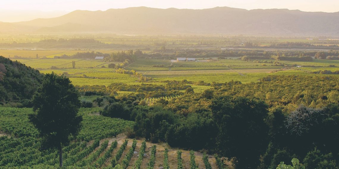 Emiliana es reconocida en los Green Awards 2025