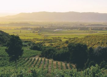 Emiliana es reconocida en los Green Awards 2025