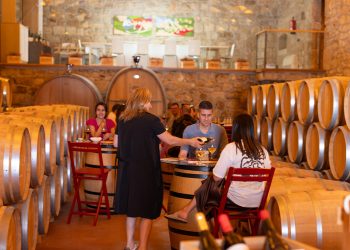 Enoturismo iberoamericano avanza con nueva asociación